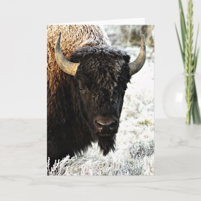 Tarjeta Bison (Anverso)