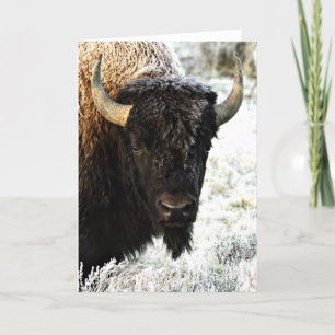 Tarjeta Bison