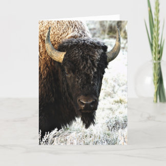 Tarjeta Bison