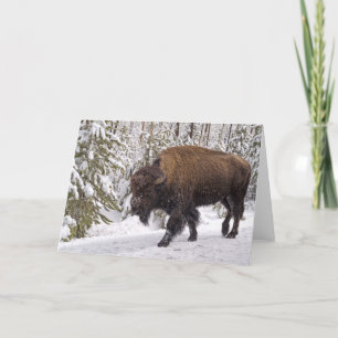 Tarjeta Bison Bison Bison Bson