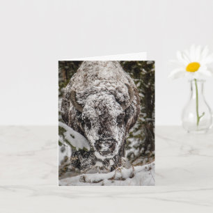 Tarjeta Bison Grand Teton cubierta de nieve