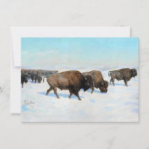 Bison in the Snow (por Rosa Bonheur)