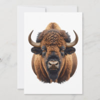 Bisonte / Búfalo