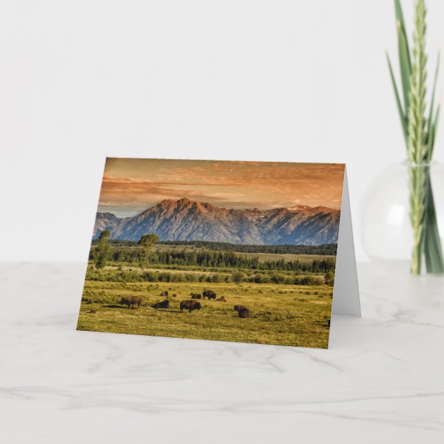 Tarjeta Bisonte en la salida del sol (Anverso)