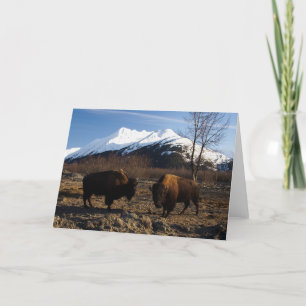 Tarjeta Bisonte Tet-a-Tet