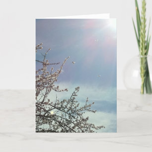 Tarjeta Bizzy Beezzzzz