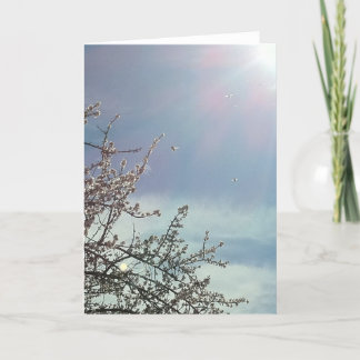 Tarjeta Bizzy Beezzzzz