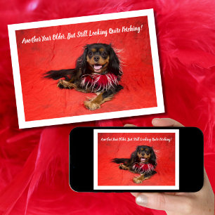 Tarjeta Black and Tan Cavalier King Charles Boa Cumpleaños