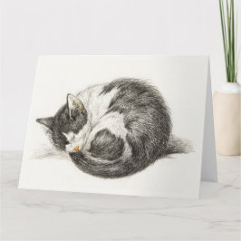 Tarjeta Black and white pencil drawing of a sleeping cat