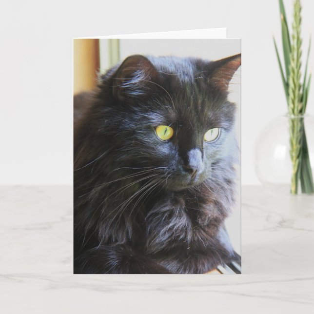 Tarjeta Black Cat Note Card, blank inside (Anverso)