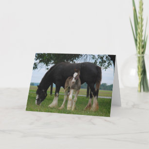 Tarjeta Black Clydesdale and Filly