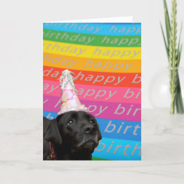Tarjeta Black Dog Colorful Happy Birday Text Card