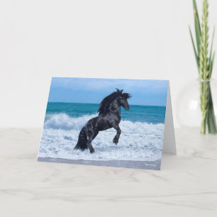 Tarjeta Black Friesian Stallion Rearing In the Sea