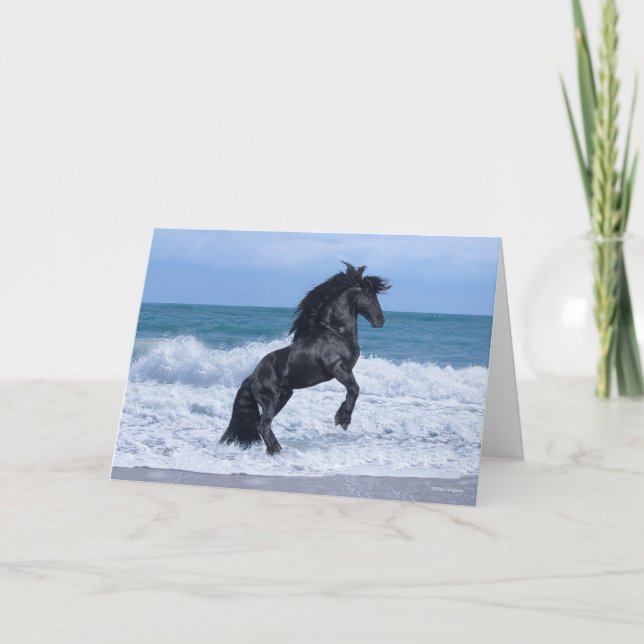 Tarjeta Black Friesian Stallion Rearing In the Sea (Anverso)