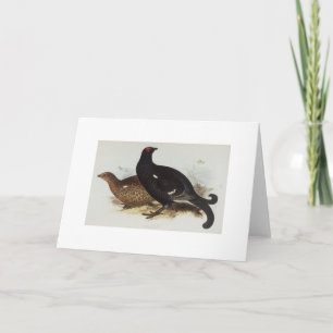 Tarjeta Black Grouse