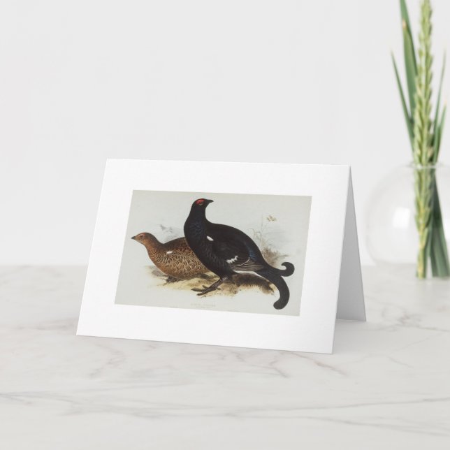 Tarjeta Black Grouse (Anverso)