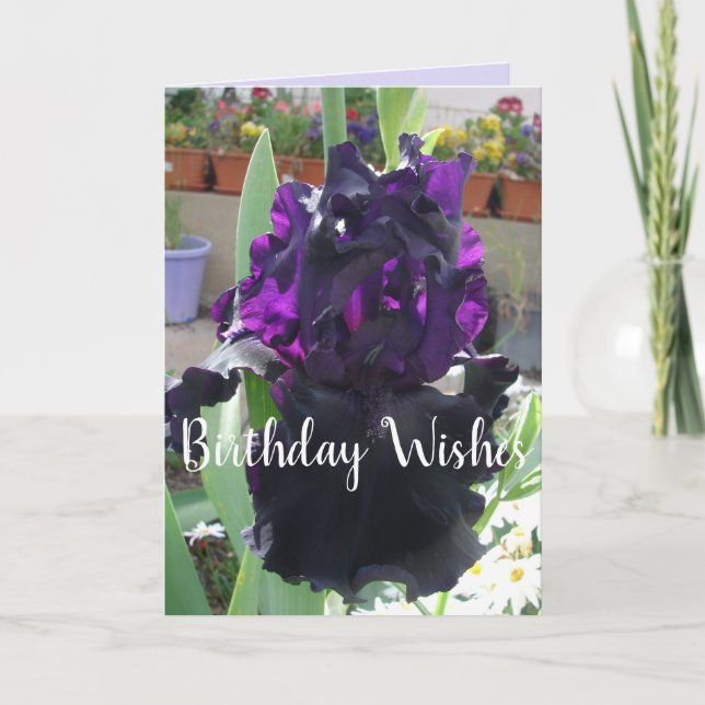 Tarjeta Black Iris Fllower Floral Photo Love Birday Card (Anverso)