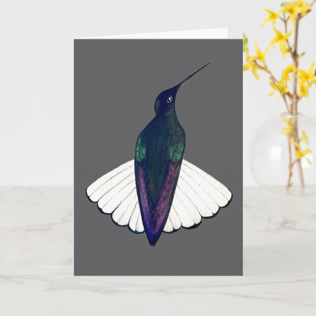 Tarjeta Black Jacobin Hummingbird  (flor amarilla)