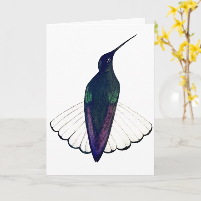 Tarjeta Black Jacobin Hummingbird  (flor amarilla)