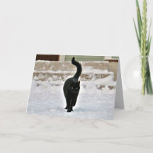 Black Kitty Cat Cute Personalizable Card