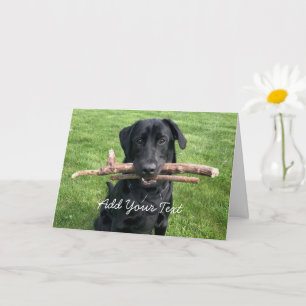 Tarjeta Black Lab con dos palos Dog Photo