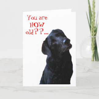 Tarjeta Black Lab Dog Tipping Head deseando feliz cumpleañ