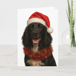 Tarjeta Black Sprocker / Springer Spaniel Christmas card