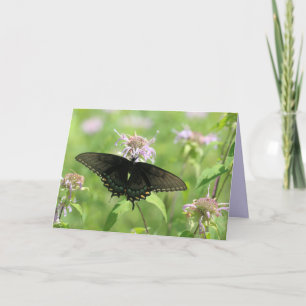 Tarjeta Black Swallowtail femenino