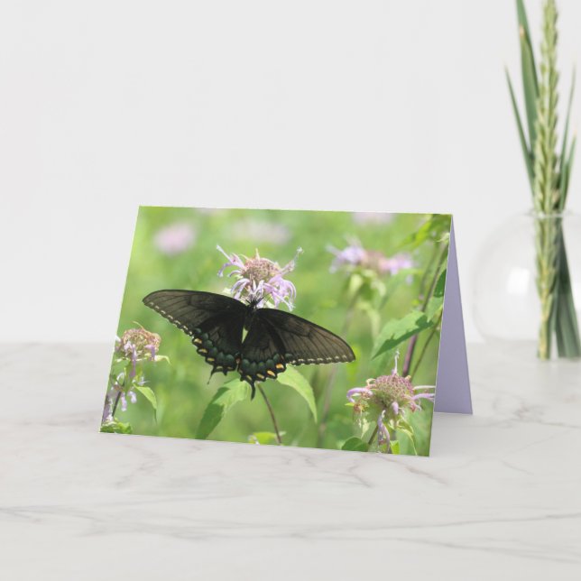 Tarjeta Black Swallowtail femenino (Anverso)