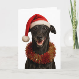 Tarjeta Black whippet in a Santa hat Christmas card