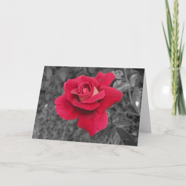 Tarjeta Black White Red Rose Cards (Anverso)
