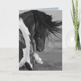 Tarjeta Black & White Strikes Wilse Horse Greeting Card