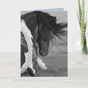 Tarjeta Black & White Strikes Wilse Horse Greeting Card