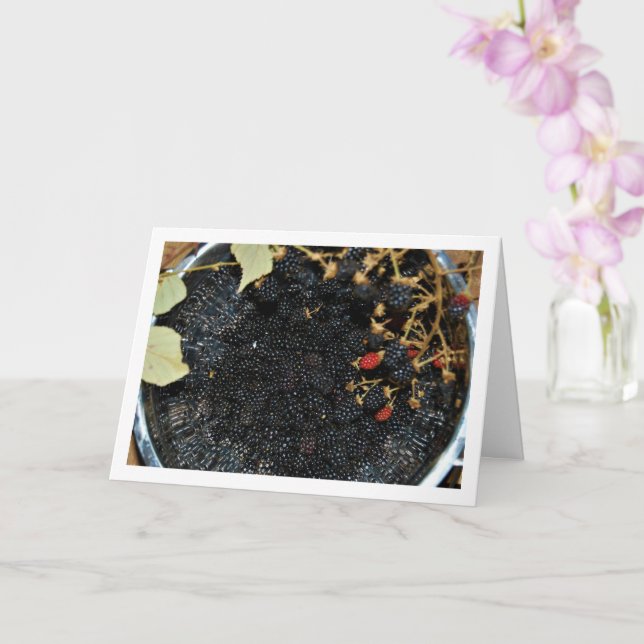 Tarjeta Blackberries de Colander (Orquídea)