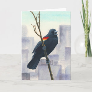Tarjeta Blackbird