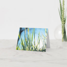 Tarjeta Blades iluminados por el sol