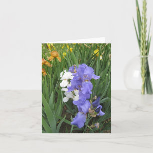 tarjeta blanca azul ámbar pequeña nota en blanco