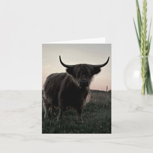 Tarjeta blanca de 4" x 5,6" plegada Highland Highl (Anverso)