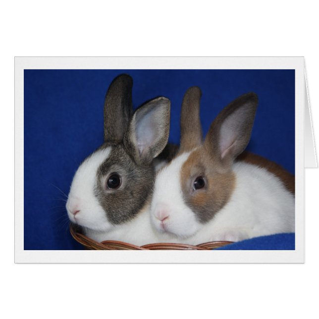 Tarjeta blanca de conejo holandés (Anverso (Horizontal))