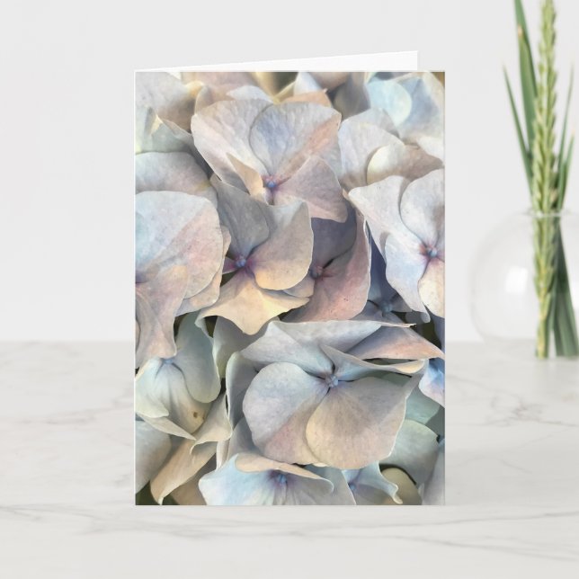 Tarjeta blanca de expresiones suaves (Anverso)