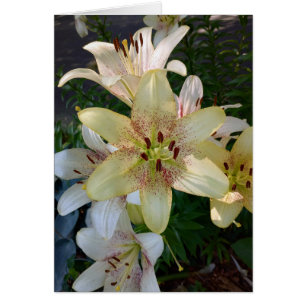 Tarjeta blanca de flores amarillas amarillas amari