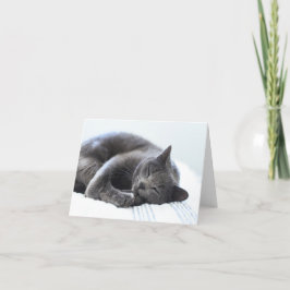 Tarjeta blanca de gatos grises