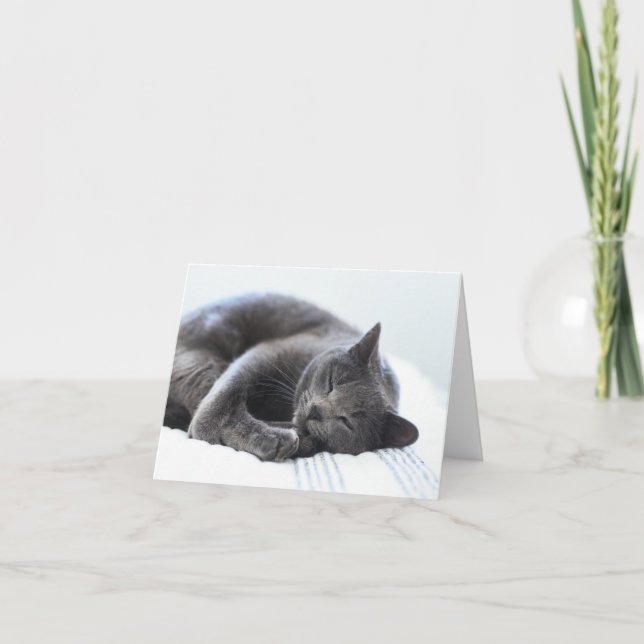 Tarjeta blanca de gatos grises (Anverso)