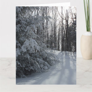 Tarjeta blanca de invierno temprano fría por la ma