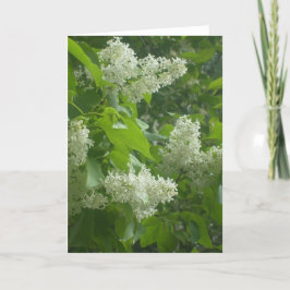 Tarjeta blanca de la lila