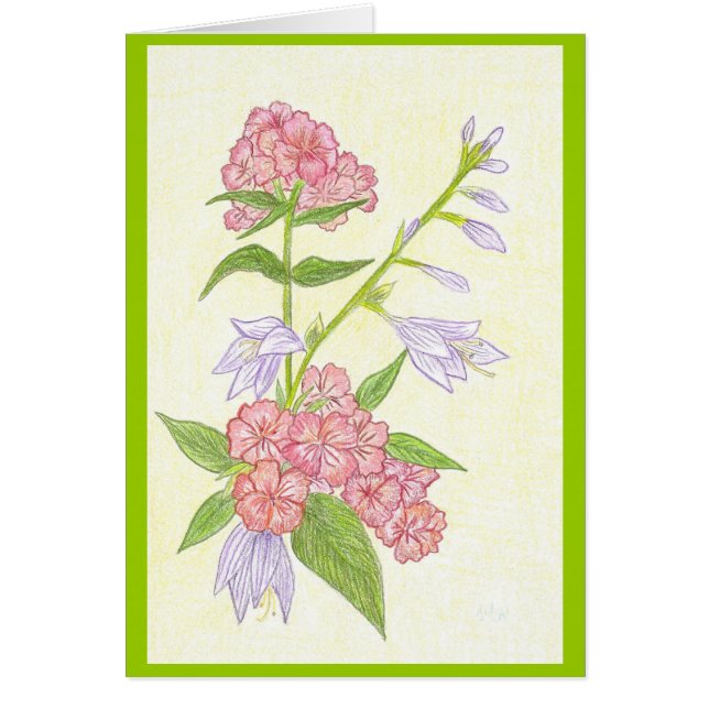 Tarjeta blanca de las flores de verano (Frente)