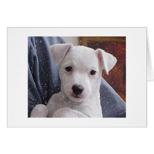 Tarjeta blanca de retrato de perro Jack Russell Te