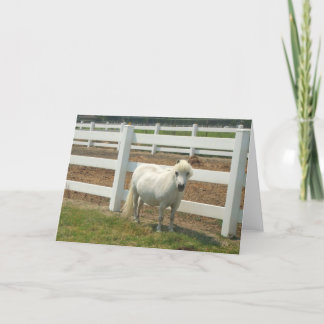 Tarjeta blanca de saludo de caballo en miniatura