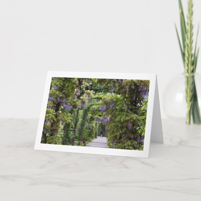 Tarjeta blanca de saludo doblada de Wisteria (Anverso)