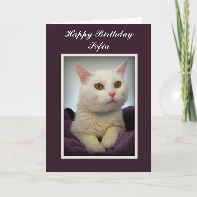 Tarjeta blanca del gato del feliz cumpleaños de (Anverso)